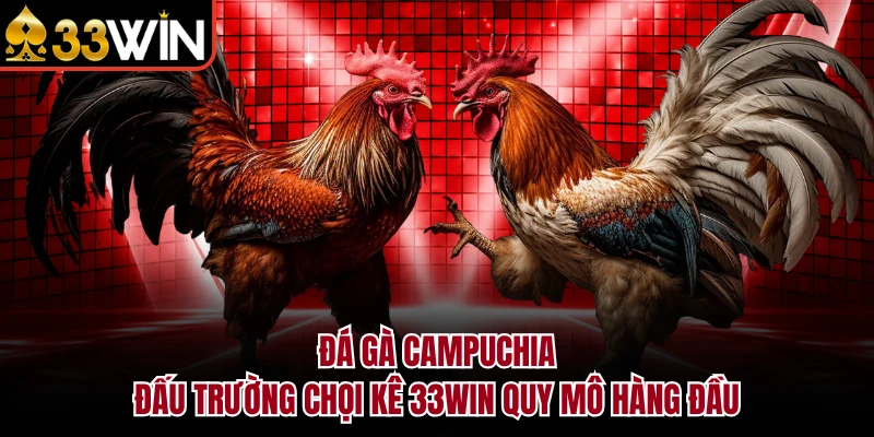 Đá Gà Campuchia – Khám Phá Đấu Trường Chọi Kê Đỉnh Cao 2026 5 Đá Gà Campuchia - Đấu Trường Chọi Kê 33WIN Quy Mô Hàng Đầu
