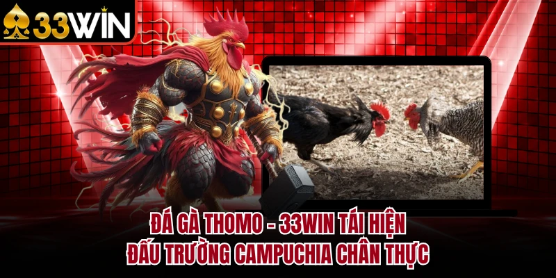 Đá Gà Thomo - 33WIN Tái Hiện Đấu Trường Campuchia Chân Thực 3 Đá Gà Thomo - 33WIN Tái Hiện Đấu Trường Campuchia Chân Thực