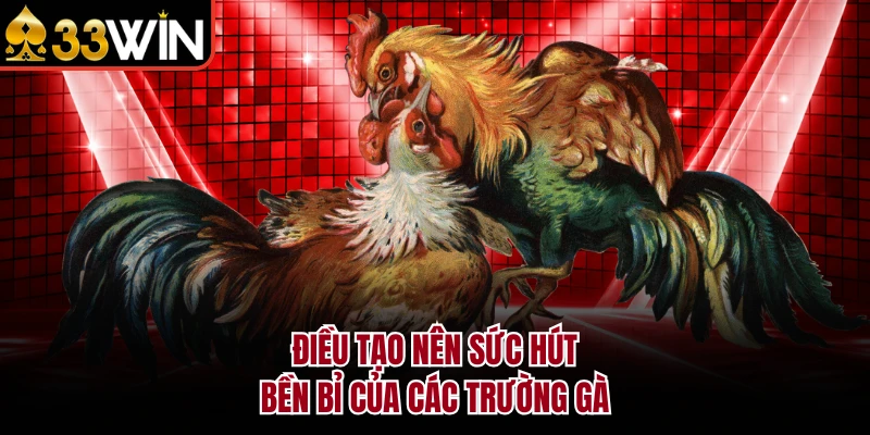 Các Trường Gà Nổi Tiếng 33WIN Mang Lại Trải Nghiệm Đỉnh Cao 2 Điều tạo nên sức hút bền bỉ của các trường gà