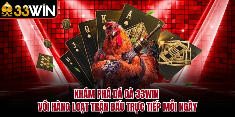 ĐÁ GÀ 5 Khám phá đá gà 33Win với hàng loạt trận đấu trực tiếp mỗi ngày